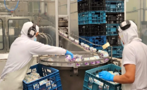 Solo 864 empresas procesan leche en Ecuador, pero hay +260 000 productores